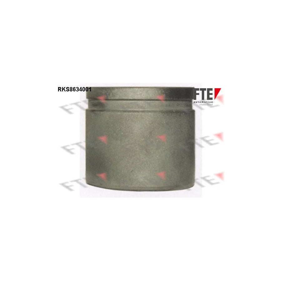 FTE 9313300 Piston, Brake Caliper