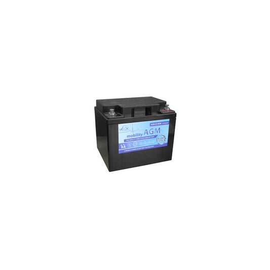 Leoch AGM 42 Mobility Battery 12V 42Ah