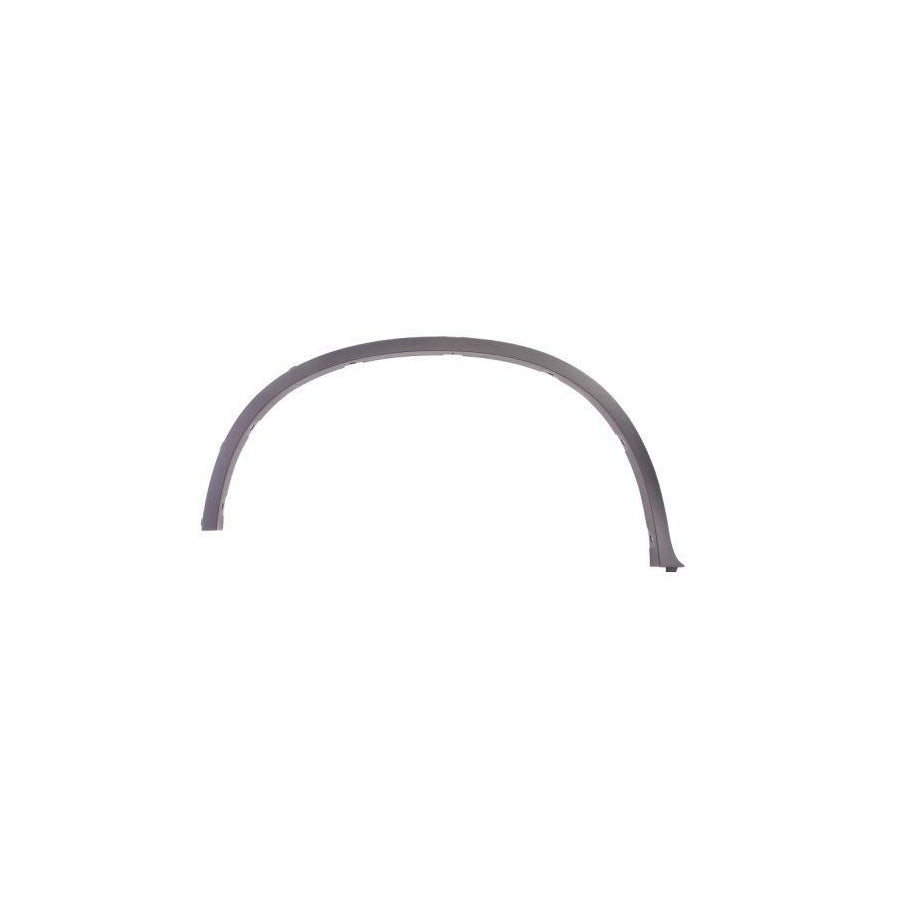Blic 5703-04-0099596P Trim / Protective Strip, Mudguard for BMW X6 (E71, E72)