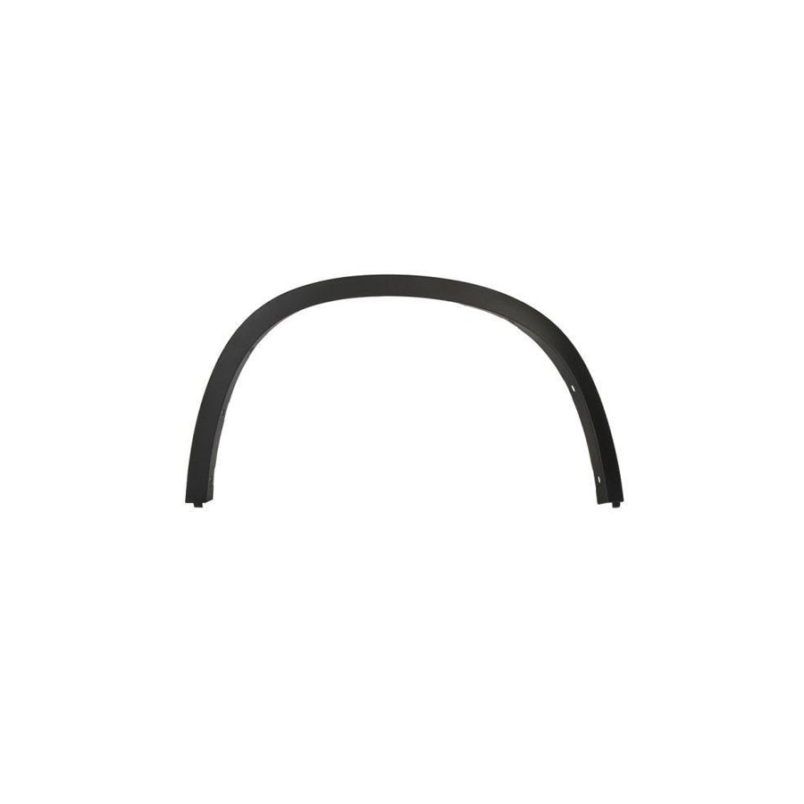 Blic 5703-04-0099595P Trim / Protective Strip, Mudguard for BMW X6 (E71, E72)