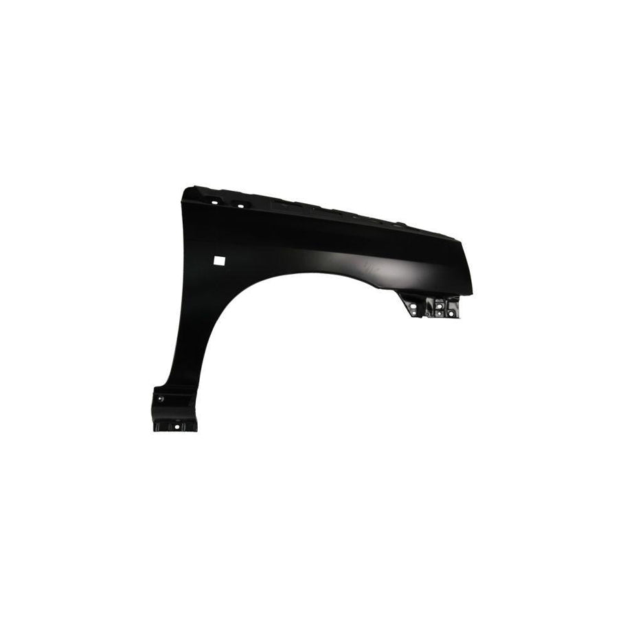 Blic 6504-04-6031312P Wing Fender for Renault Clio