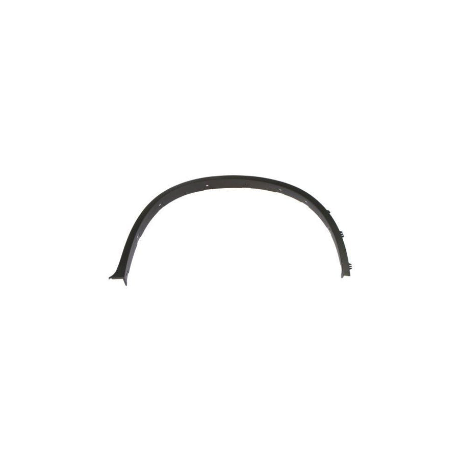 Blic 5703-04-0099422P Trim / Protective Strip, Mudguard for BMW X6 (E71, E72)