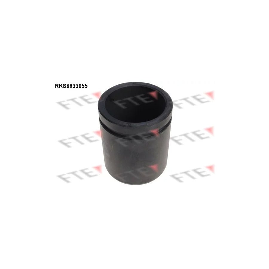 FTE 9313295 Piston, Brake Caliper