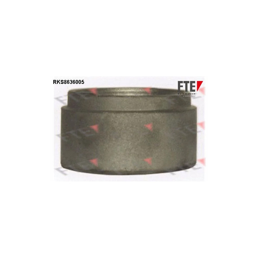 FTE 9313324 Piston, Brake Caliper