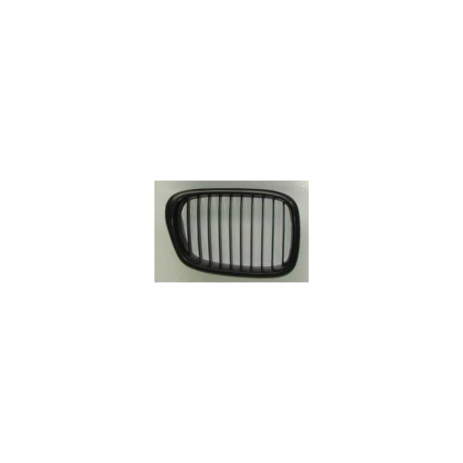 Abakus 00415454 Radiator Grille for BMW 5 Series