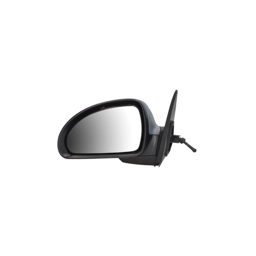 Blic 5402-53-2002853P Wing Mirror for KIA Cee D