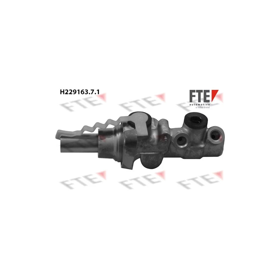 FTE H229163.7.1 Brake Master Cylinder for VW Passat