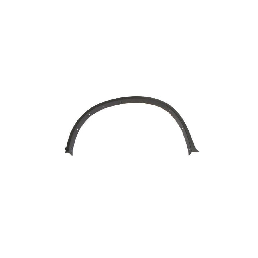 Blic 5703-04-0099421P Trim / Protective Strip, Mudguard for BMW X6 (E71, E72)