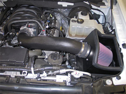 K&N Engineering K&N 09-10 Ford F-150 4.6L V8 Performance Intake Kit