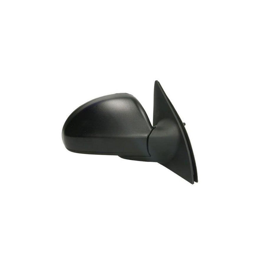 Blic 5402-53-2002852P Wing Mirror for KIA Cee D