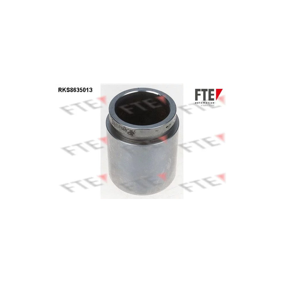 FTE 9313320 Piston, Brake Caliper