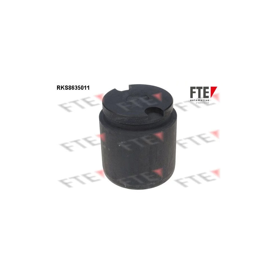 FTE 9313319 Piston, Brake Caliper for KIA Carens II (Fj)