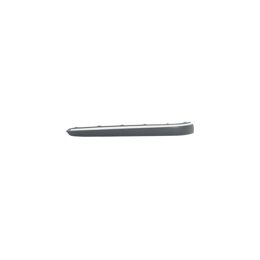 Blic 5703-05-3528971P Bumper Moulding Suitable for Mercedes-Benz E-Class