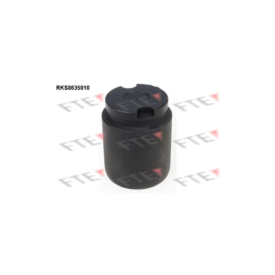 FTE 9313318 Piston, Brake Caliper for KIA Picanto I (Sa)