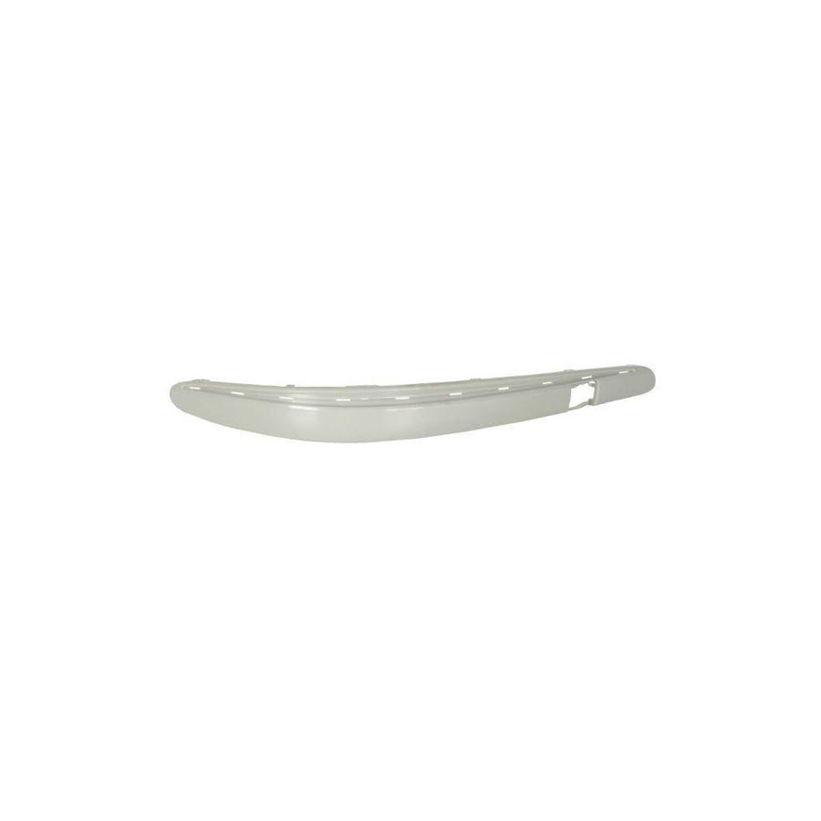 Blic 5703-05-3528930P Bumper Moulding Suitable for Mercedes-Benz E-Class