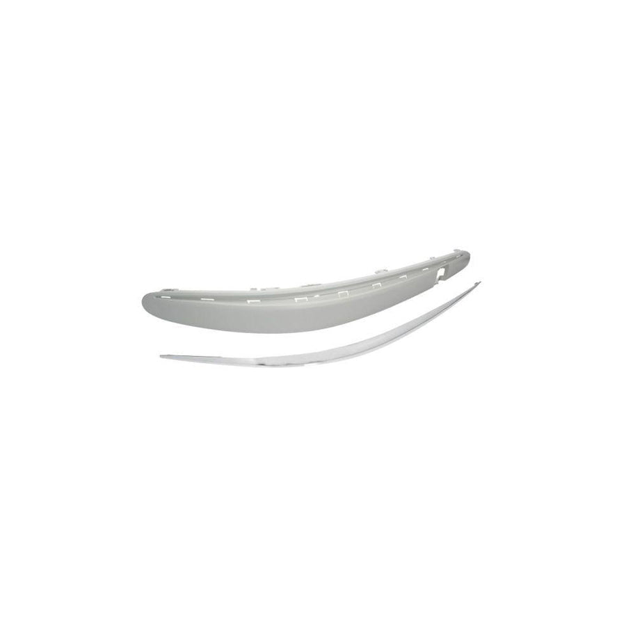 Blic 5703-05-3528928P Bumper Moulding Suitable for Mercedes-Benz E-Class