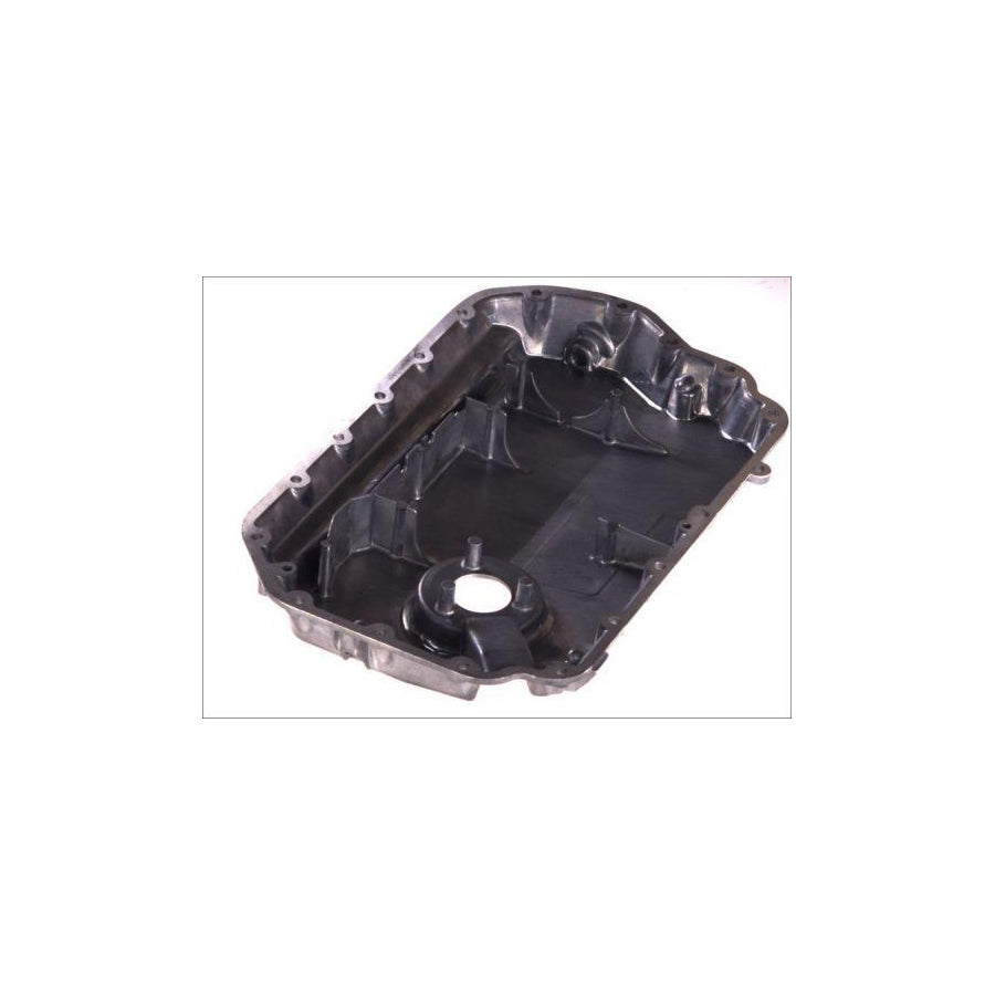 Blic 0216-00-0014479P Oil Sump