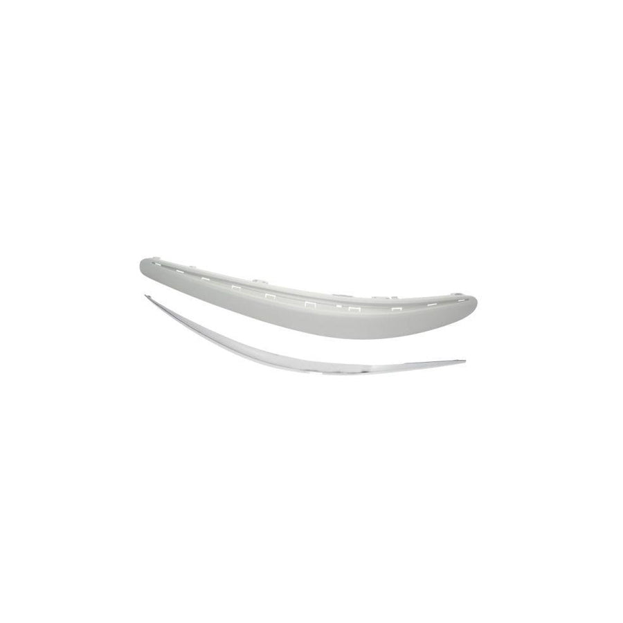 Blic 5703-05-3528927P Bumper Moulding Suitable for Mercedes-Benz E-Class