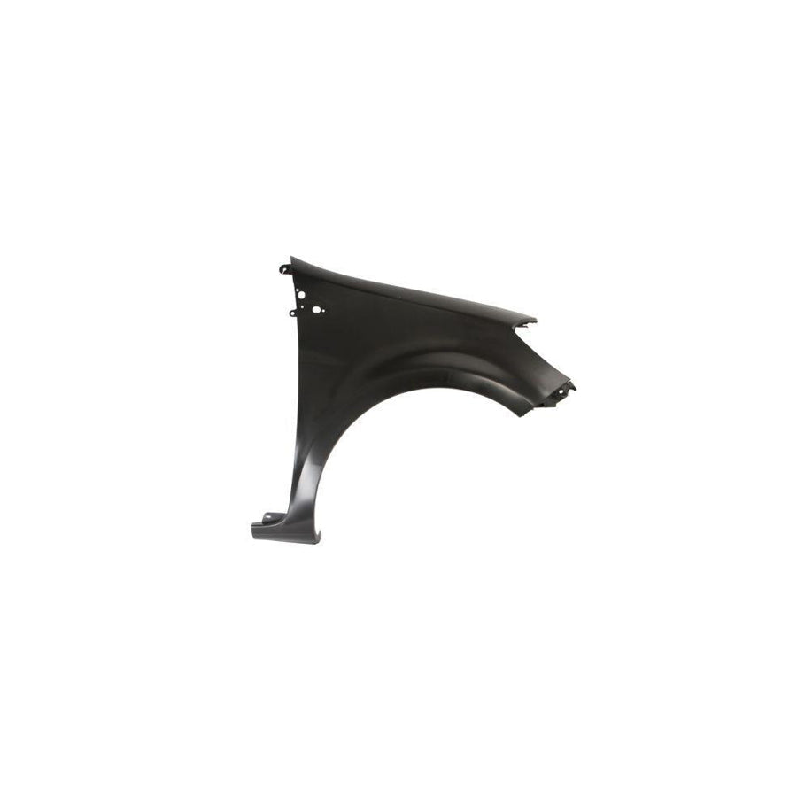 Blic 6504-04-6033314P Wing Fender for Renault Clio
