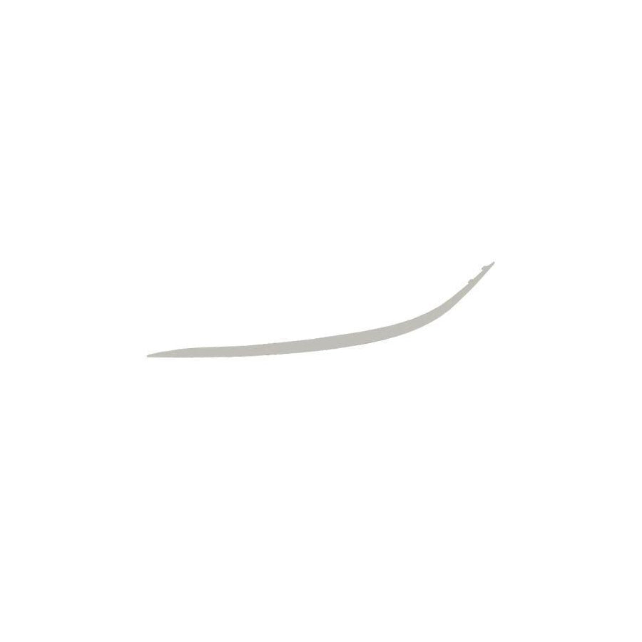 Blic 5703-05-3528925P Bumper Moulding Suitable for Mercedes-Benz E-Class