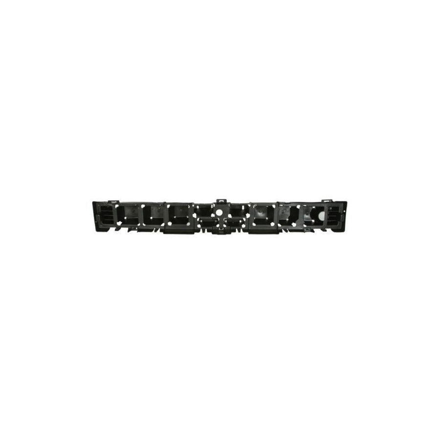 Blic 5502-00-2586941P Bumper Reinforcement for Ford USA Mustang