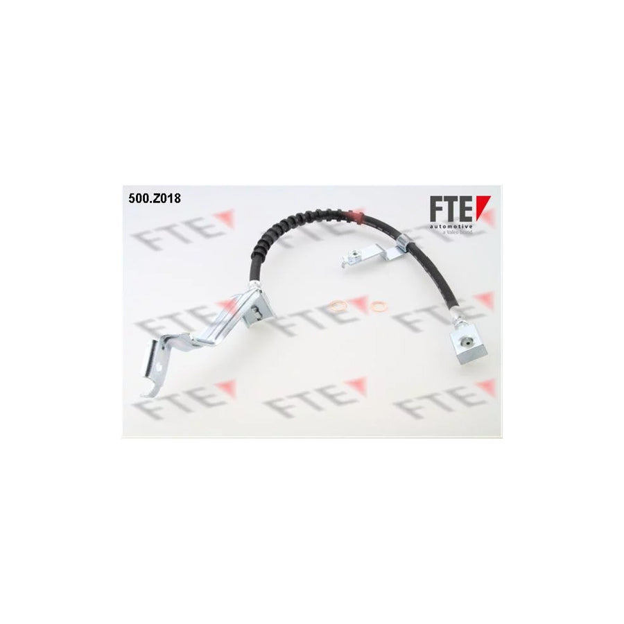 FTE 500.Z018 Brake Hose