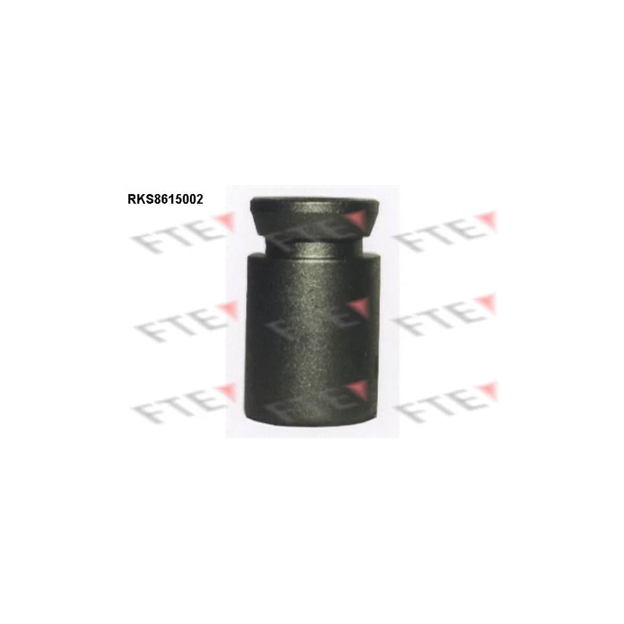FTE Rks8615002 Piston, Brake Caliper