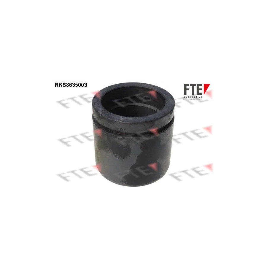 FTE 9313311 Piston, Brake Caliper for KIA Clarus