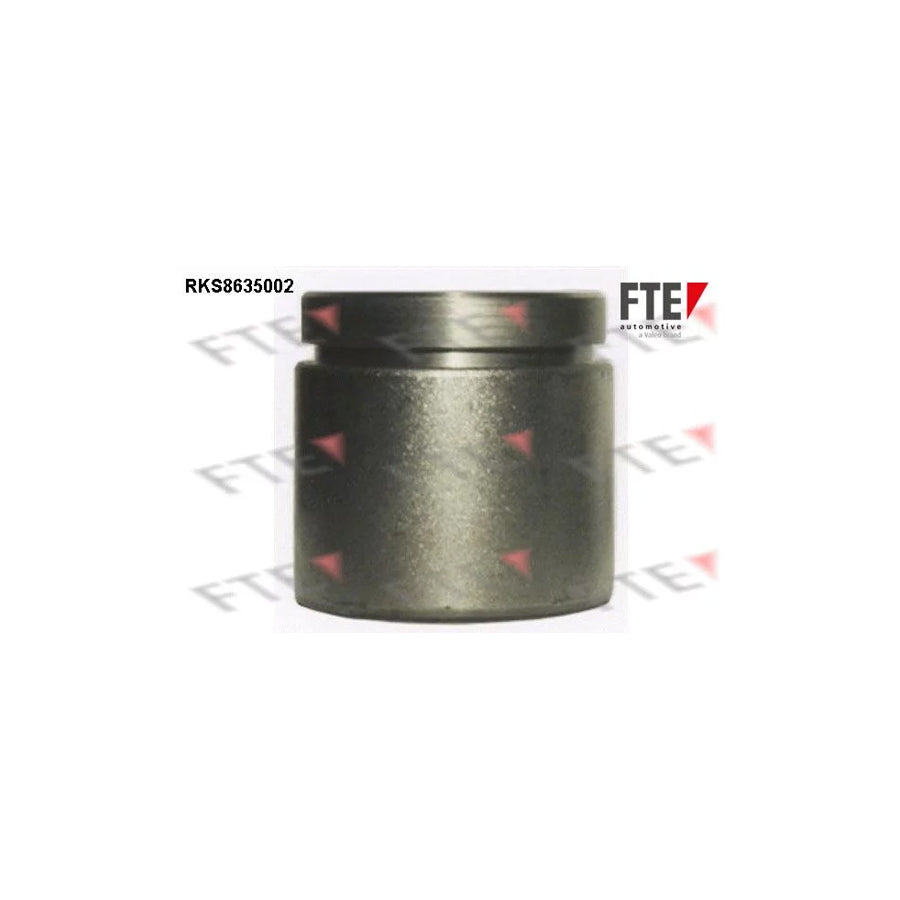 FTE 9313310 Piston, Brake Caliper