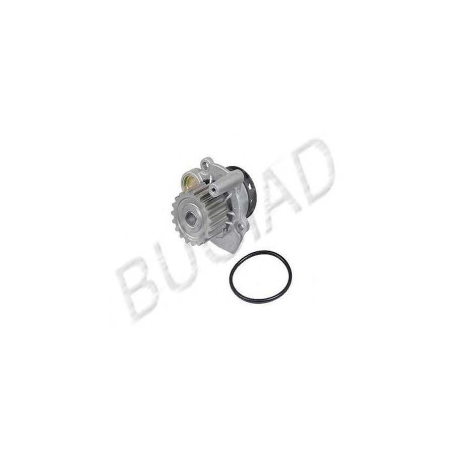 BUGIAD Bsp22108 Water Pump