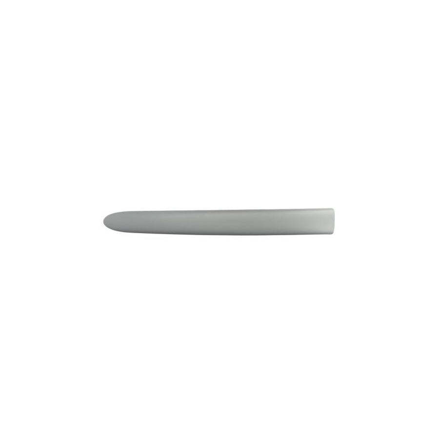 Blic 5703-04-0536576P Door Molding for Citroen Xsara Picasso (N68)