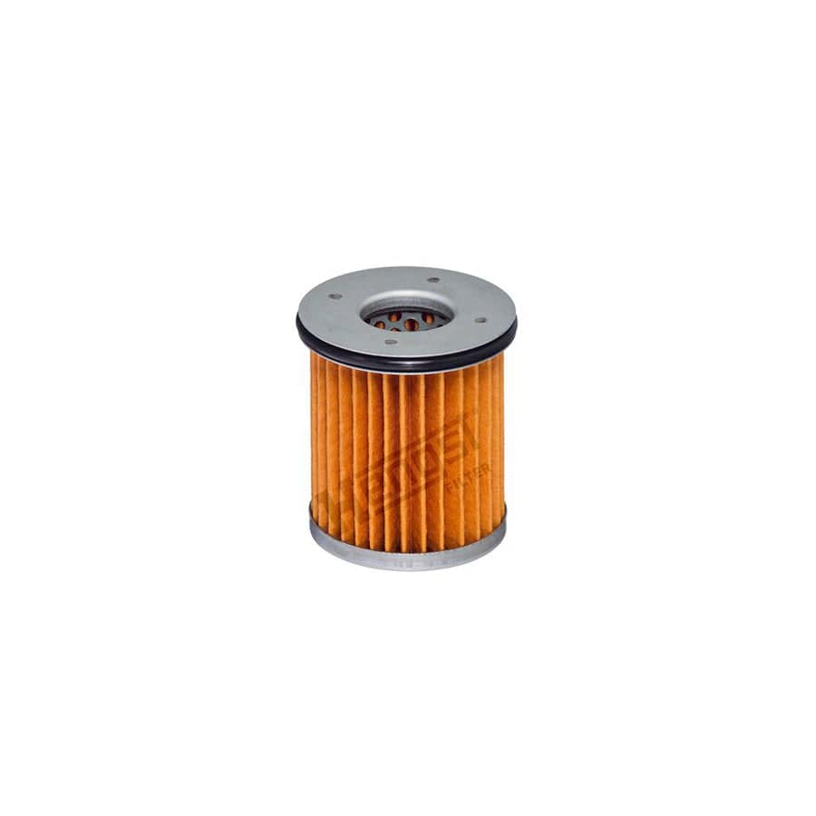 Hengst Filter EG1096H Hydraulic Filter, Automatic Transmission
