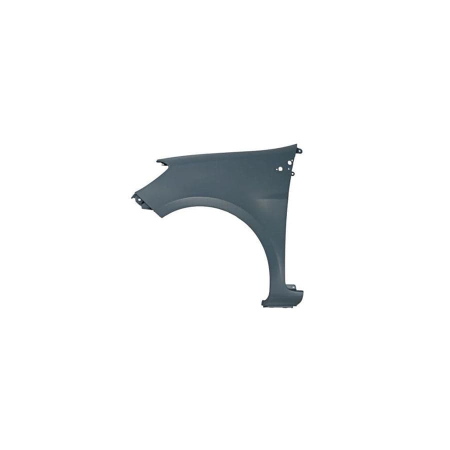 Blic 6504-04-6033311Q Wing Fender for Renault Clio