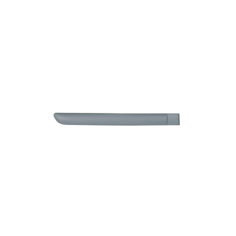 Blic 5703-04-0519578P Door Molding for Citroen C3 I Hatchback (Fc, Fn)