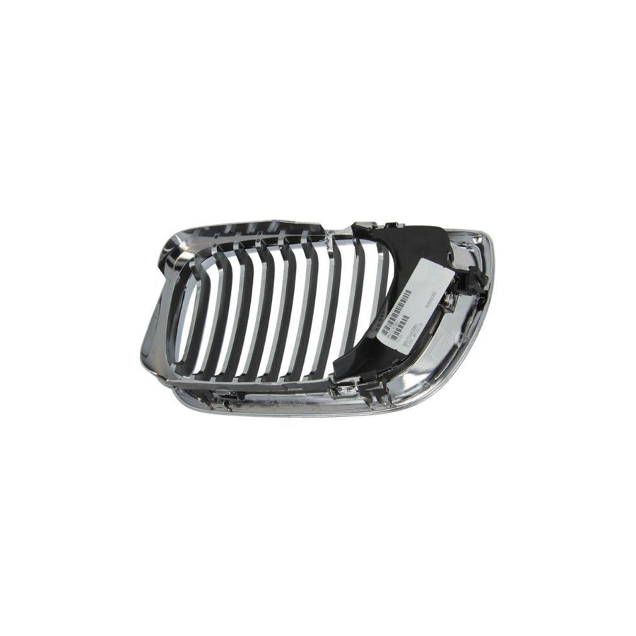 Blic 6502-07-0061992Pp Radiator Grille for BMW 3 Series