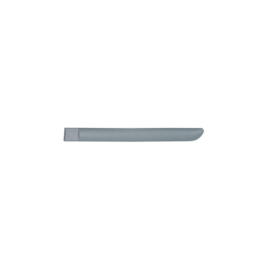 Blic 5703-04-0519577P Door Molding for Citroen C3 I Hatchback (Fc, Fn)