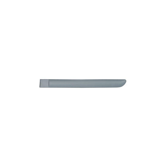 Blic 5703-04-0519577P Door Molding for Citroen C3 I Hatchback (Fc, Fn)