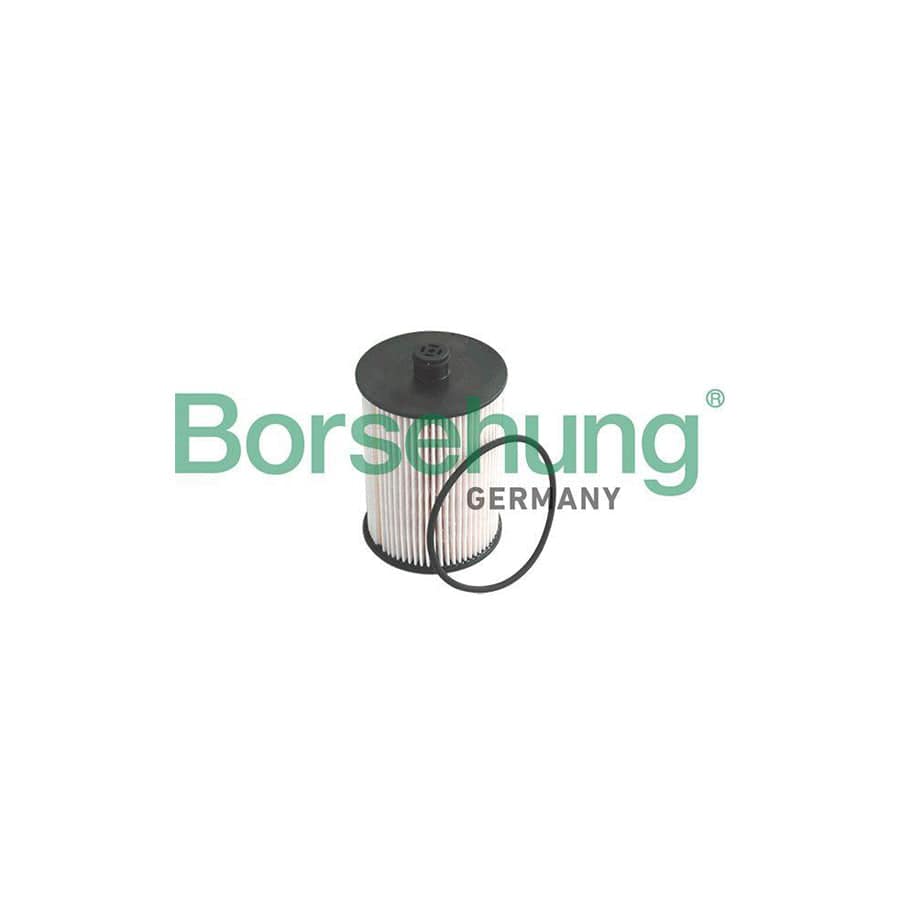 Borsehung B12199 Fuel Filter for VW Lt