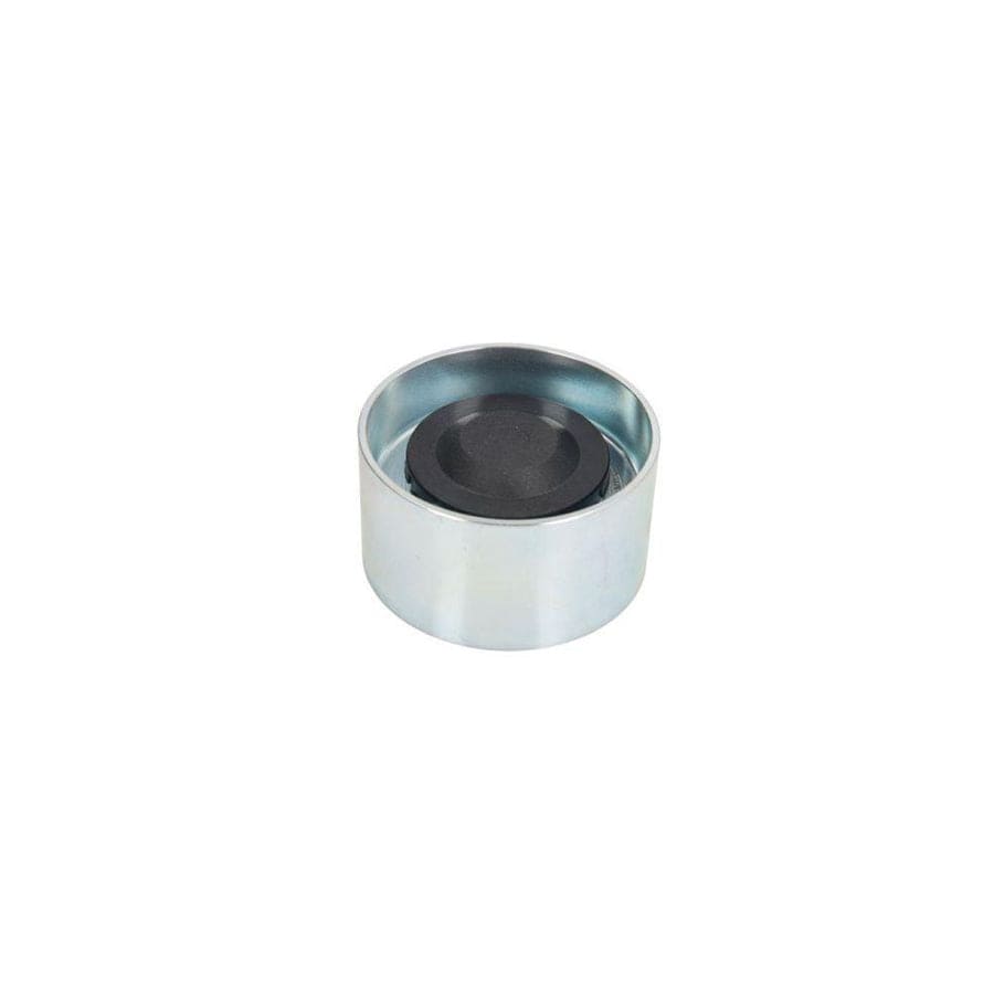 BTA B05-02-110 Tensioner Pulley
