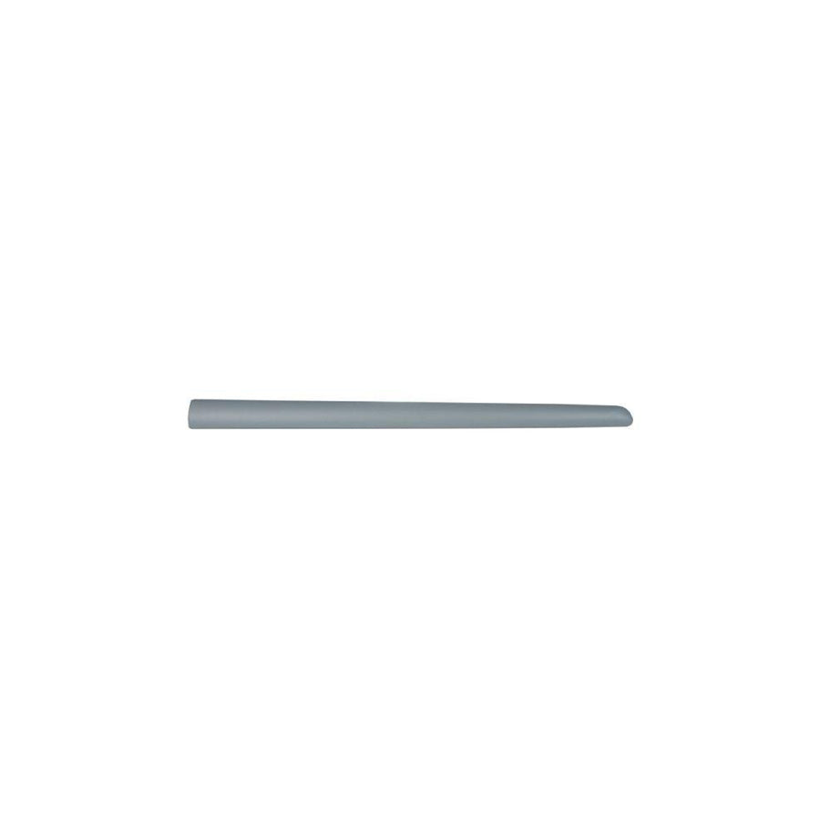 Blic 5703-04-0519575P Door Molding for Citroen C3 I Hatchback (Fc, Fn)