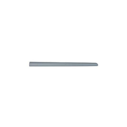 Blic 5703-04-0519575P Door Molding for Citroen C3 I Hatchback (Fc, Fn)