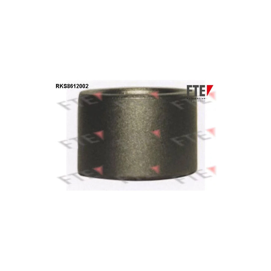 FTE Rks8612002 Piston, Brake Caliper