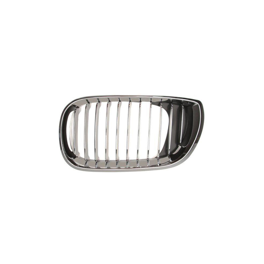 Blic 6502-07-0061991Pp Radiator Grille for BMW 3 Series