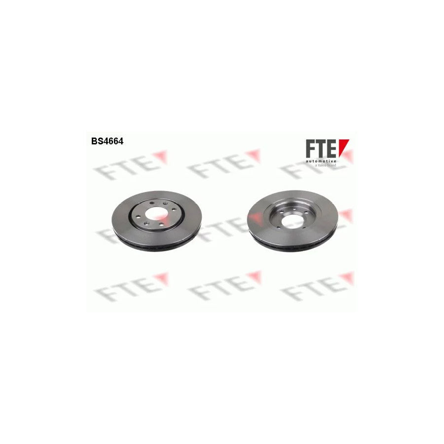 FTE 9072193 Brake Disc for Peugeot 406