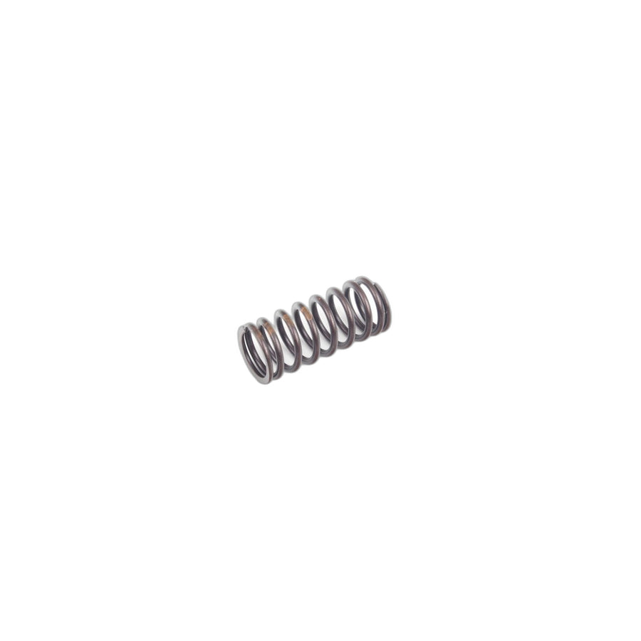Genuine BMW 11341706584 E34 E28 Valve Spring D=20,1mm (Inc. Z1, 525i & 323i)