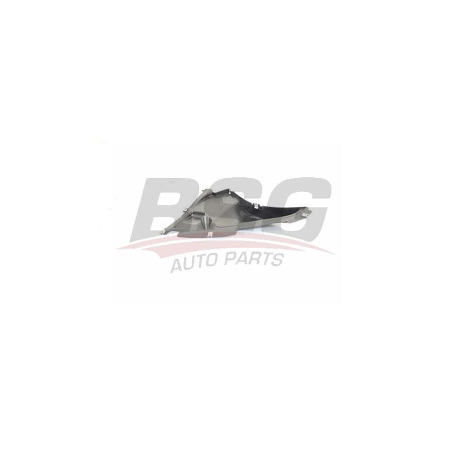 Bsg Bsg 15-922-008 Panelling, Mudguard for BMW 3 Saloon (F30, F80)