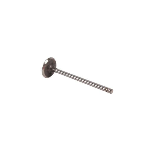 Genuine BMW 11341438385 E85 E46 E36 Intake Valve 33,0/5,94mm (Inc. 325Ci, Z3 3.0i & X3 3.0i)