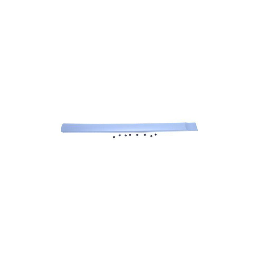 Blic 5703-04-0550576P Door Molding for Citroen Berlingo