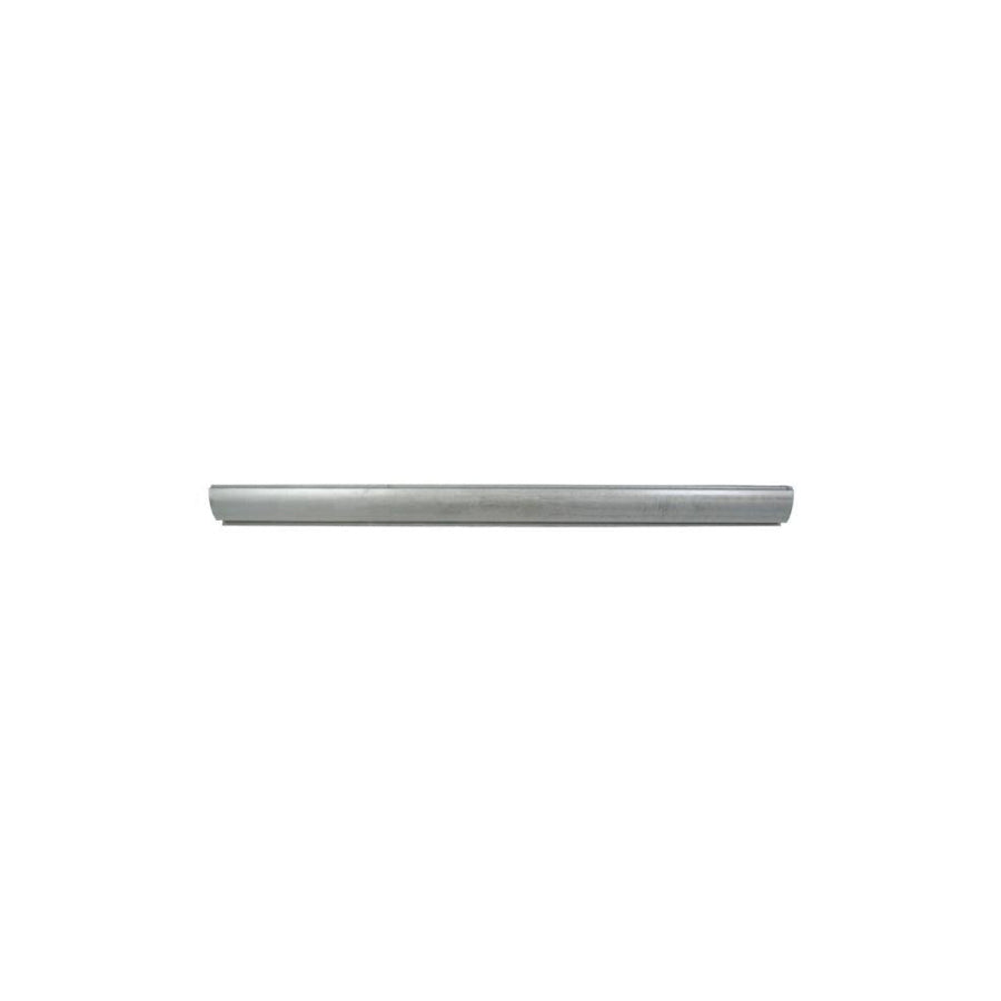 Blic 6505-06-9533017P Rocker Panel for VW Golf Plus / Crossgolf (5M1, 521)