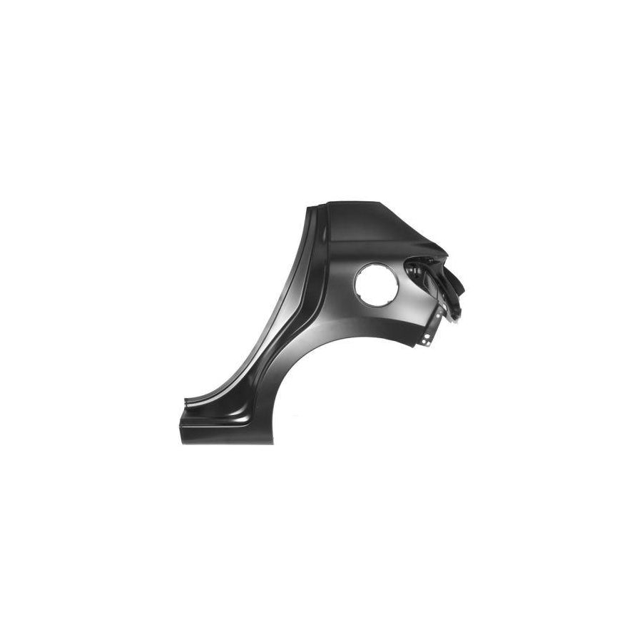 Blic 6504-01-5508513P Wing Fender for Peugeot 207